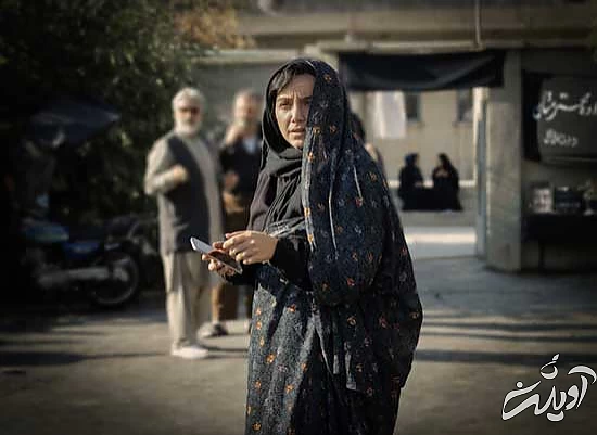 تمام آقازادههای سینمای ایران در جشنواره فجر تمام آقازادههای سینمای ایران در جشنواره فجر